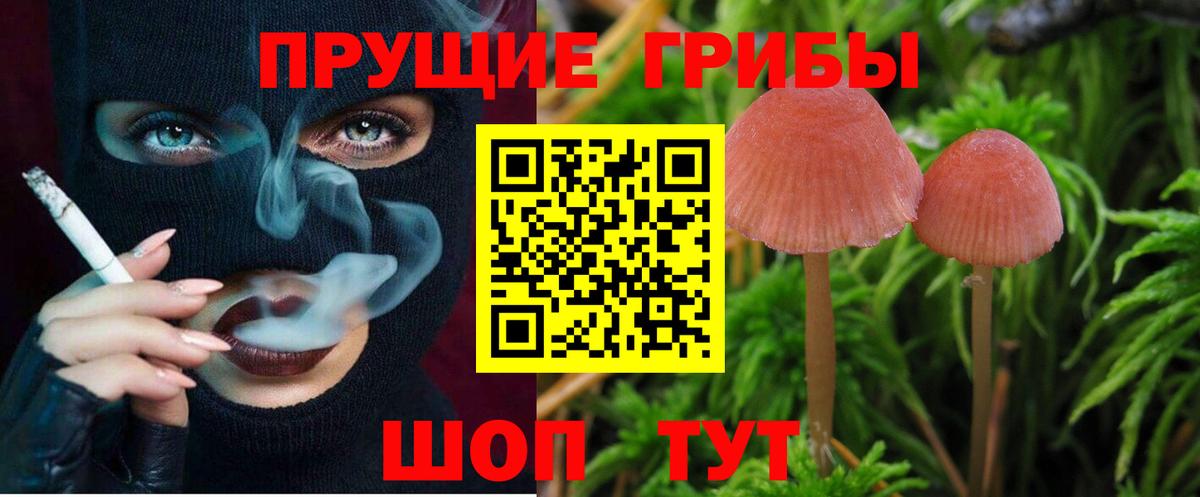 Новоалександровск  Псилоцибиновые грибы мухоморы  Вход с VPN 